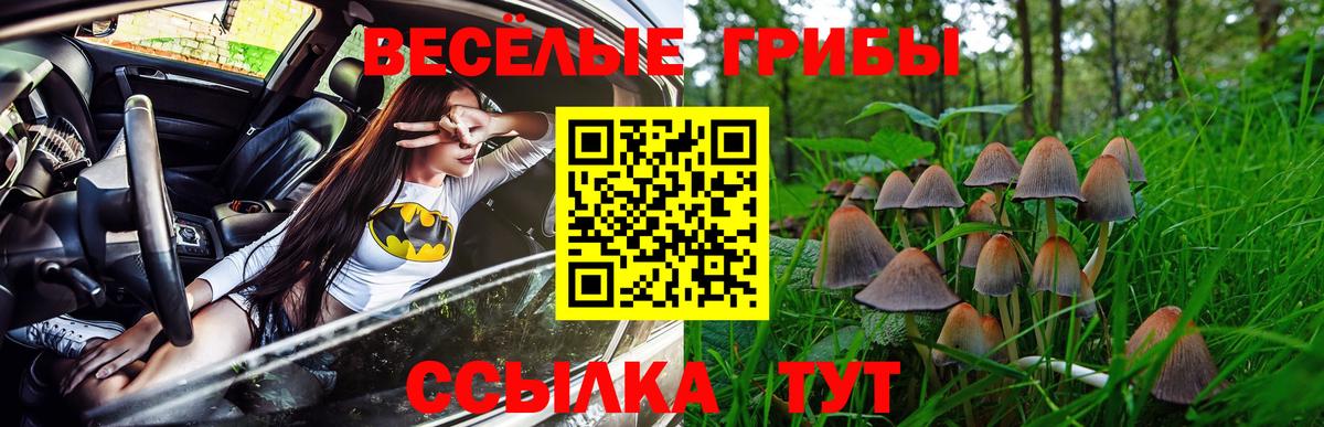Обь  наркота  Вход с VPN  Галлюциногенные грибы Cubensis 